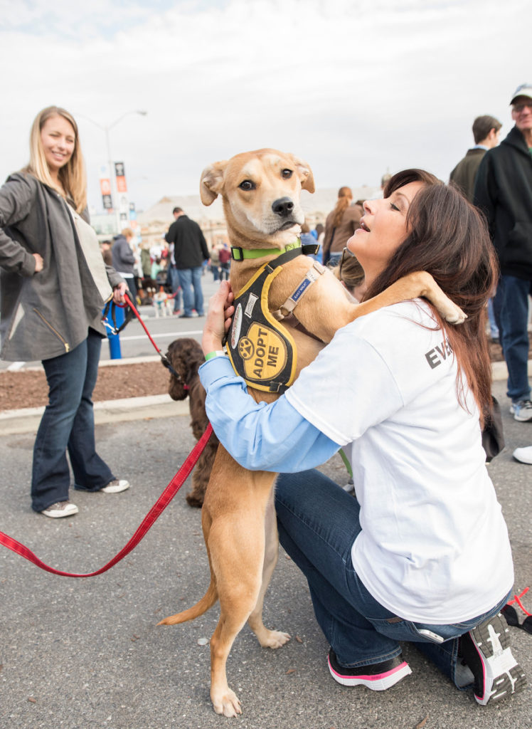 Lenore Boulet: Pet-a-Palooza 