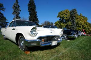 Andrew Rein - Rockville Antique & Classic Car Show