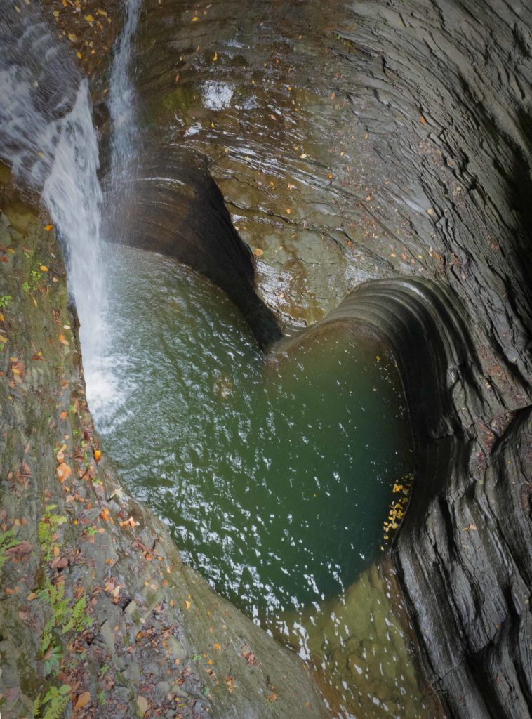 A Gorges Heart