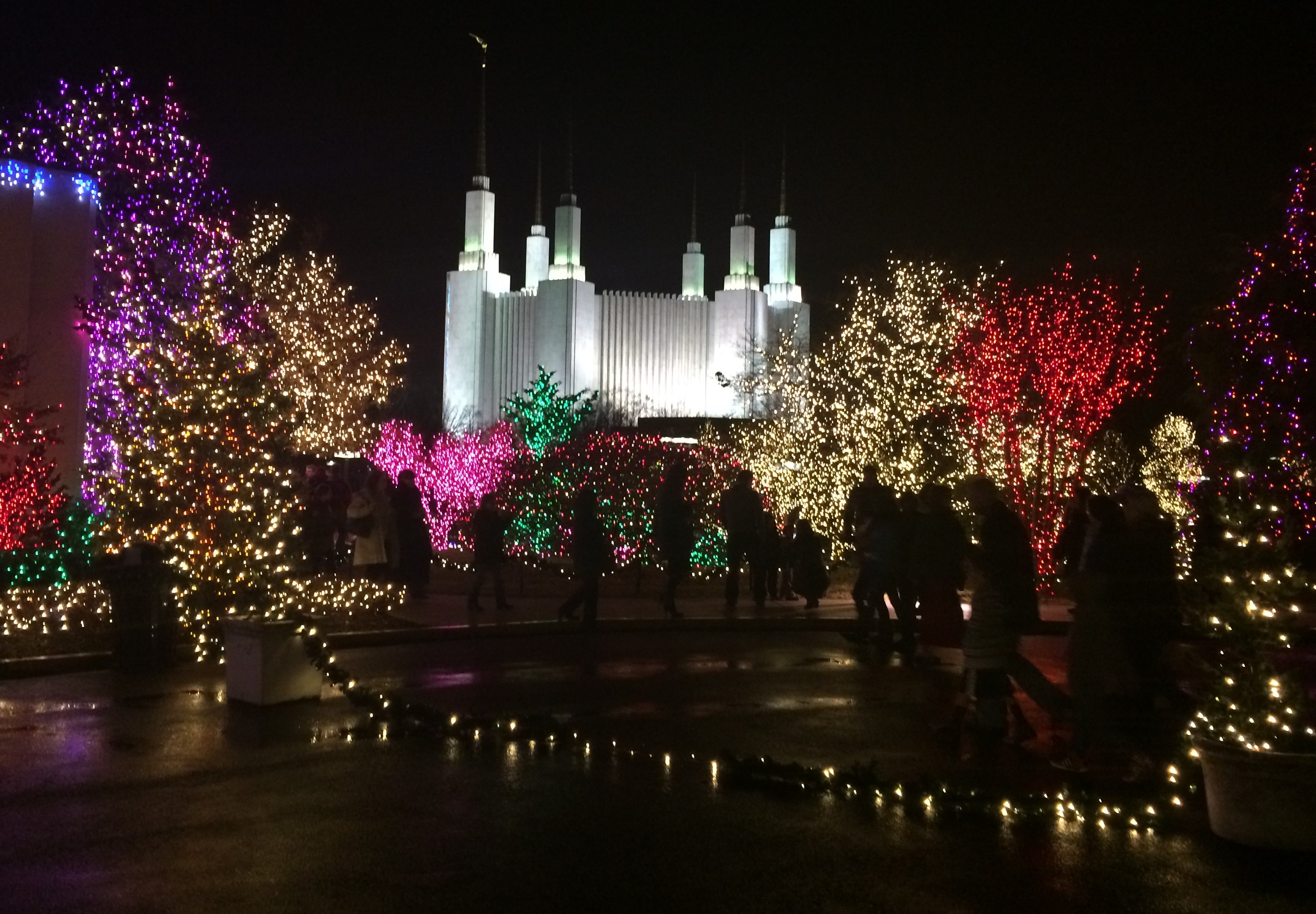 Field Trip to the Mormon Temple Festival of Lights!!! Silver Spring