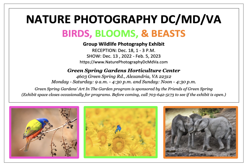 Nature Photography  DC/MD/VA