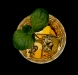 Advanced Projected ~ Beth Koller ~ Mint Julep