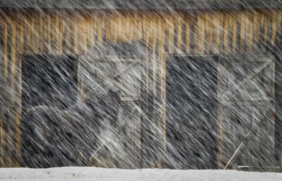Advanced Print ~ Larry Gold ~ Horse - Snow - Barn
