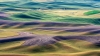 Advanced  Projected ~David Terao ~ The Palouse