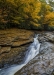 Novice Print ~ Dennis Freeman ~ Ohiopyle Autumn