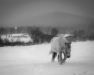 Advanced Print ~ Larry Gold ~ Canaan Valley Snowfall