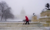 Advanced Projected  ~  Larry Gold  ~  Capitol Steps Snow Shoveler