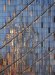 Novice Print ~ Karen Finkelman ~ Good Morning Brooklyn