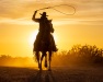 Karen Finkelman ~ Cowboy Silhouette