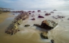 Doug Finstad, Chrystal Cove Beach