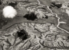 Patrick Stuary, Rwanda from the Air