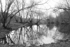 Tanya Riseman, Pond on Billy Goat trail C