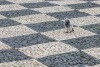 Sherm Edwards - Lisbon Pigeonscape