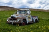 Renee Schaefer ~ Truck in the Palouse