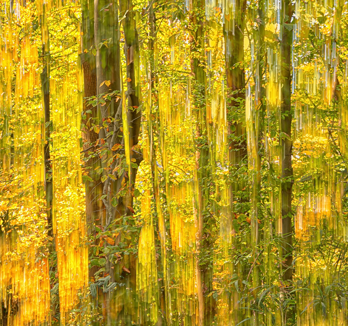 Wendy Kates ~ Backlit