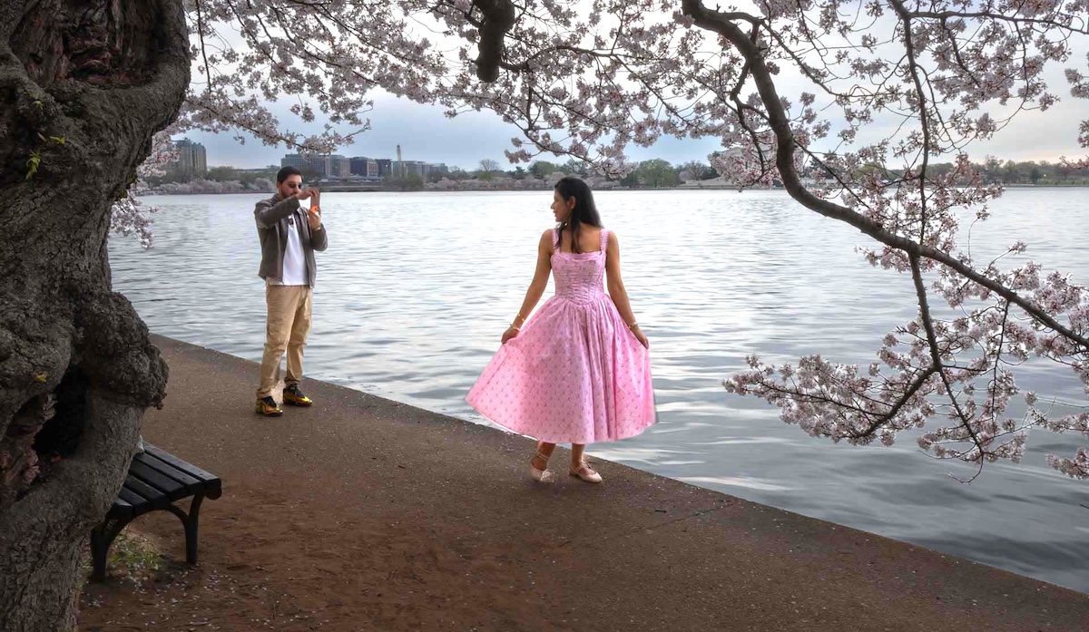 Gerry Woods ~ Pretty in Pink