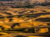 Bob Catlett, Palouse 3