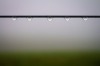 Scott Casavant ~ Morning Fog