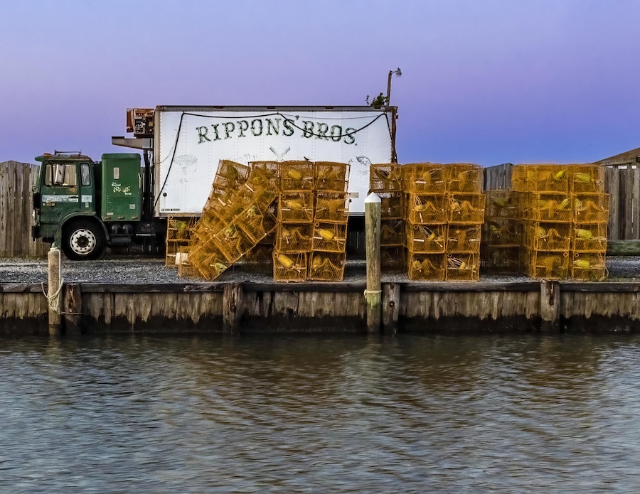 Lisa Auerbach ~ Chesapeake Seafood 2