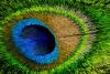 David Blass ~ Point of Impact