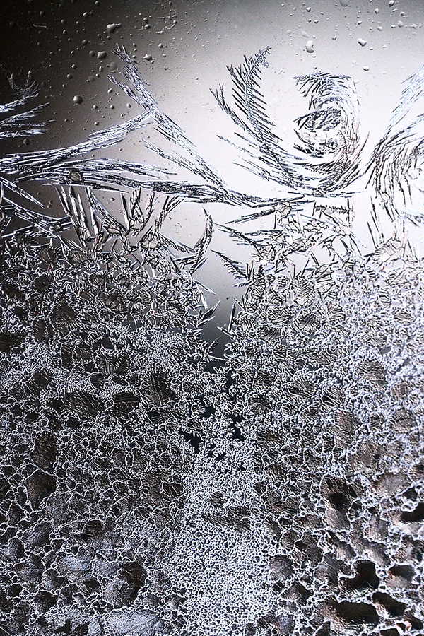 Diane Sanders ~ Frost