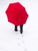 David Terao, A Traveler's Red Umbrella