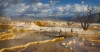 Michael Tran, Beautiful Mammoth Yellowstone