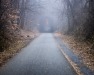 Carmen Petruzzi ~ Foggy Tunnel