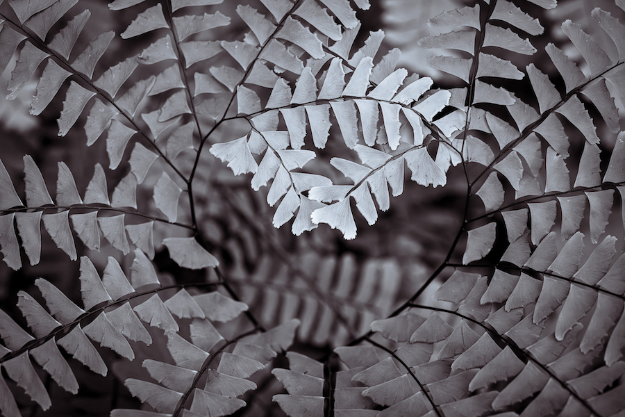 Will Rabinovich - Circle of life