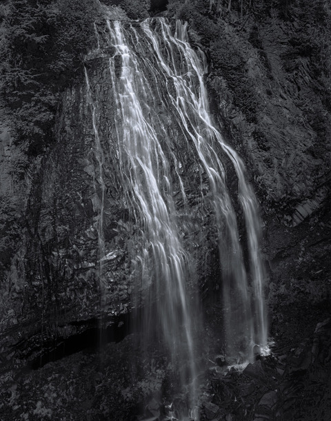 Will Rabinovich ~ Narada Falls