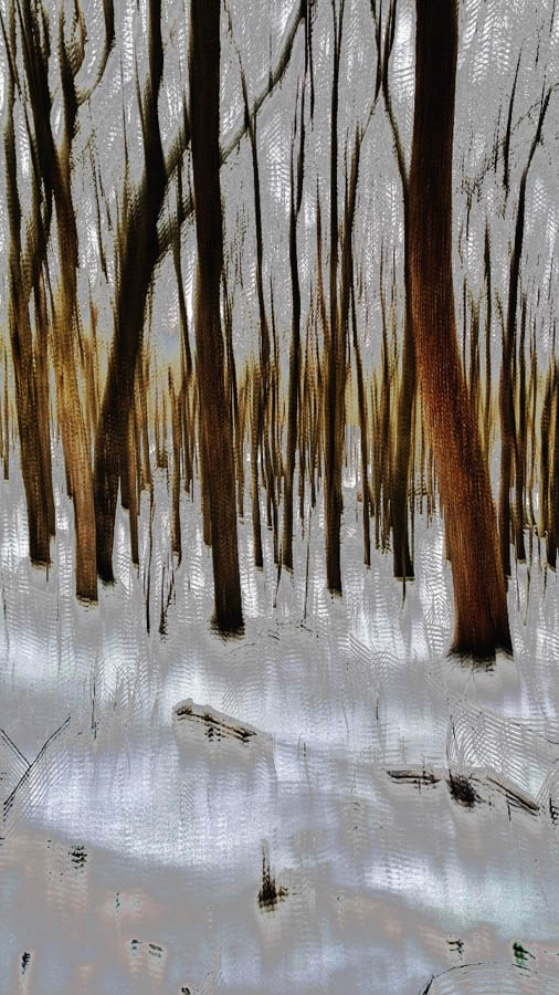 Ilona Linnoila ~ Winter Afternoon in the Woods