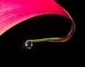 David Terao, Droplet on a Calla Lily