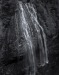 2nd Place ~ Will Rabinovich ~ Narada Falls