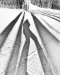 1st Place ~ Ilona Linnolla ~ Photographing Ski Slope