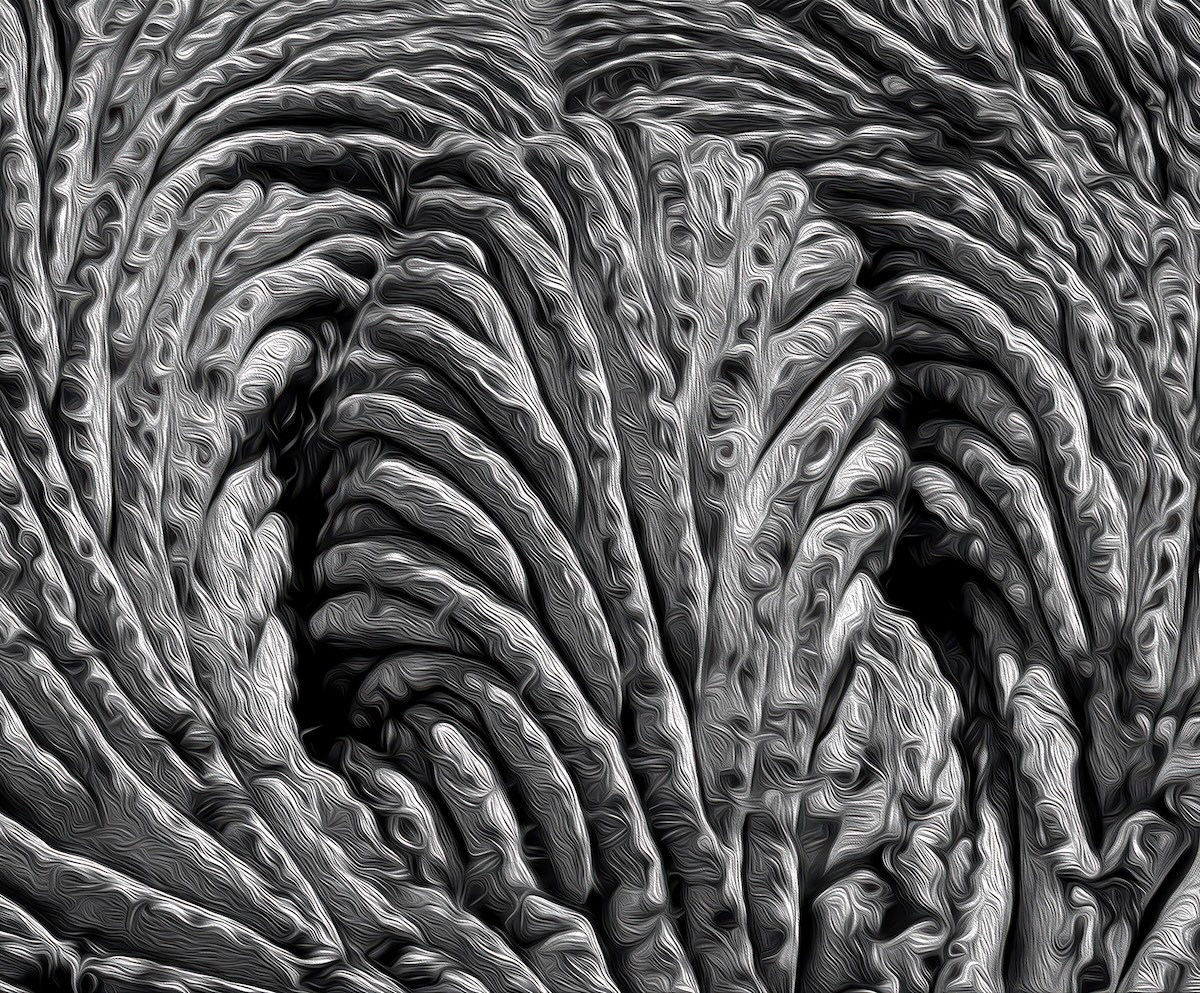 Beth Koller ~ Cristate Saguaro
