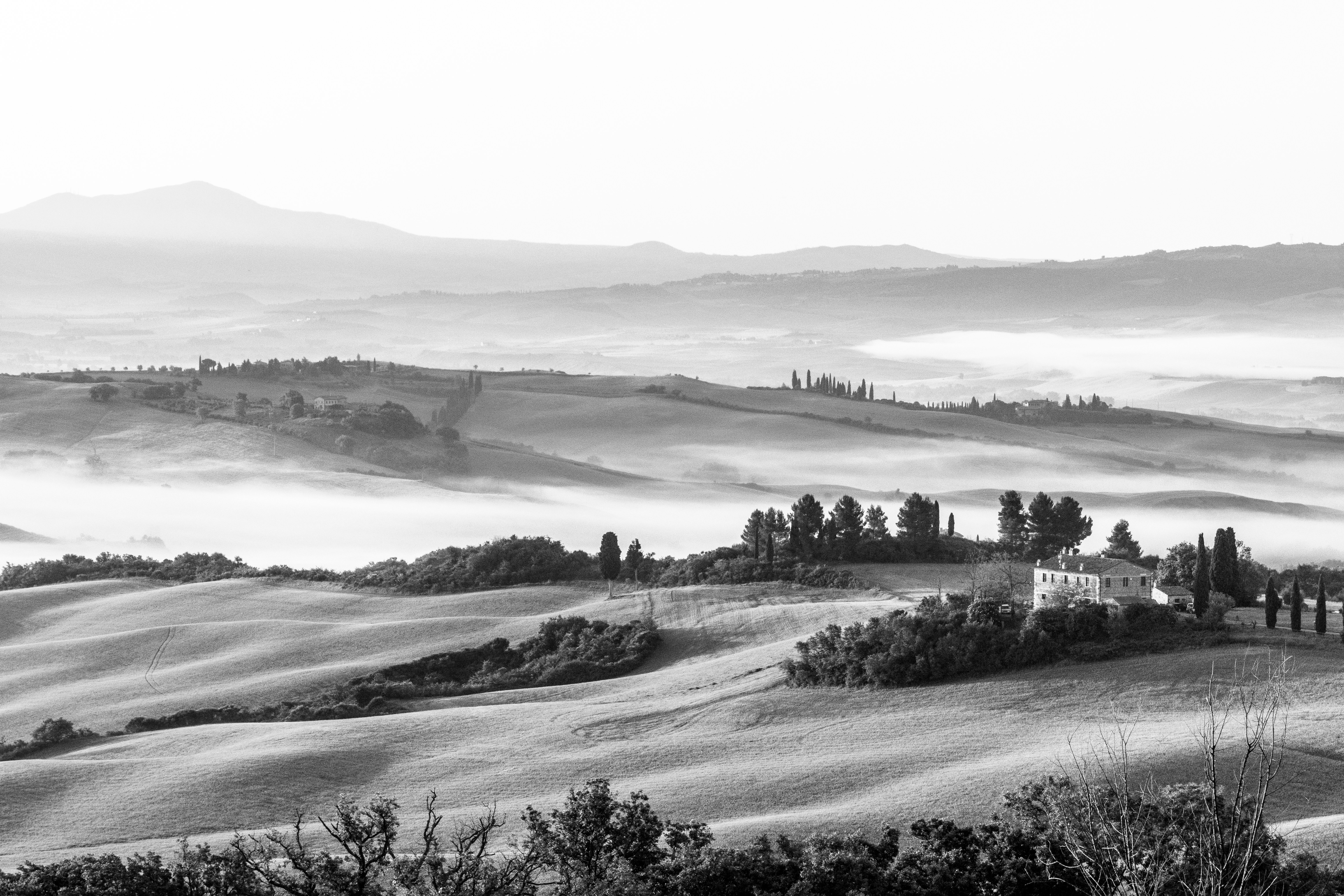 Sherm Edwards ~ Tuscan Dawn