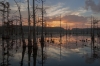 Beth Echols, Black Bayou Sunrise