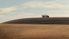 Renee Schaefer ~ Alone in the Palouse