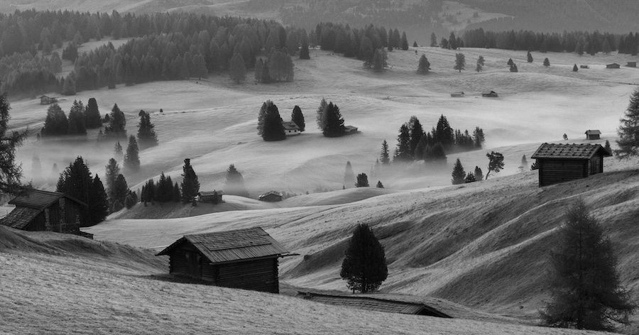 Kent Morris ~ Frosty Foggy Morning