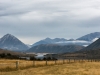 Harvy Kupferberg,New Zealand Sheep Farmer