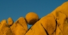 Jean Pierre Ple, Rocks, Joshua Tree National Park