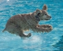 Burt Emmer, Doggy Bellyflop