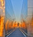 Michael Tran, 911 Empty Sky Memorial