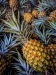 James Ragucci~Fresh Maui Gold Pineapples