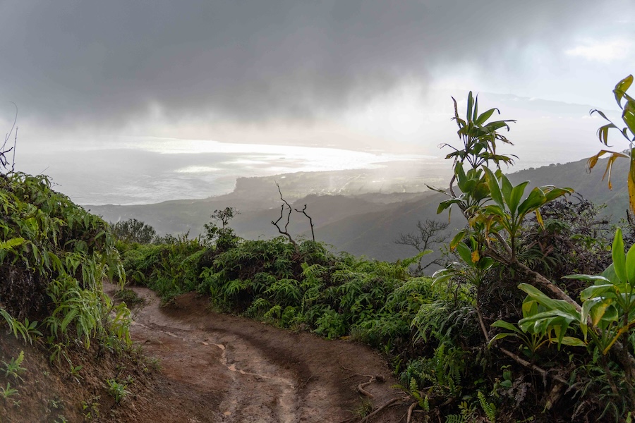 Charlie Farmer ~ Waihee Trail