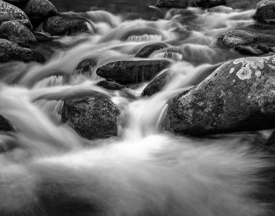 Will Rabinovich ~ Roaring Forks