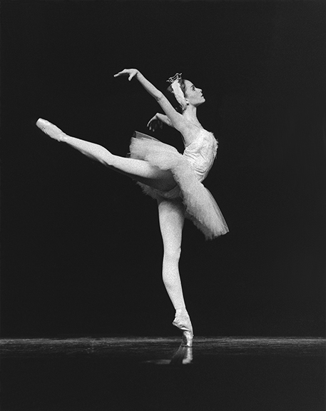 Becker, Don ~ Swan Lake