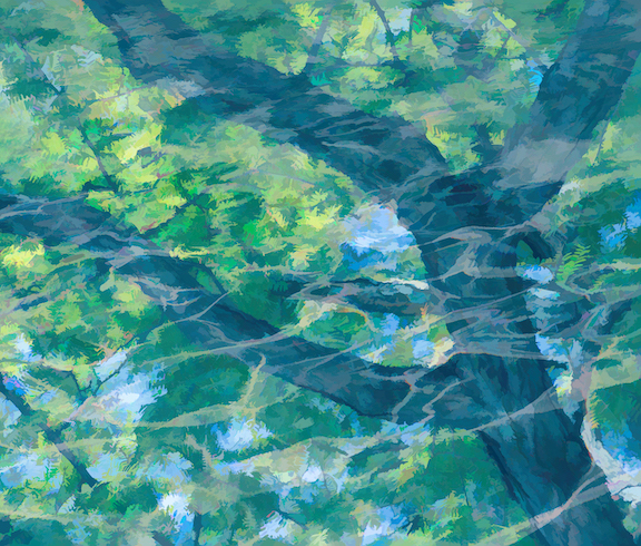 Kates, Wendy ~ The Flow of Nature