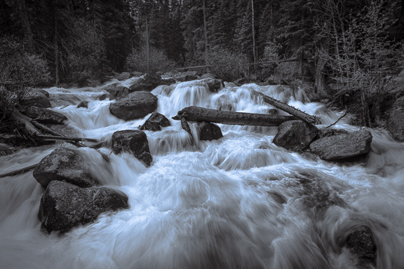 Rabinovich, Will ~ Cascade of Light