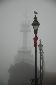 Ringger, Ted ~ Fells Point Fog